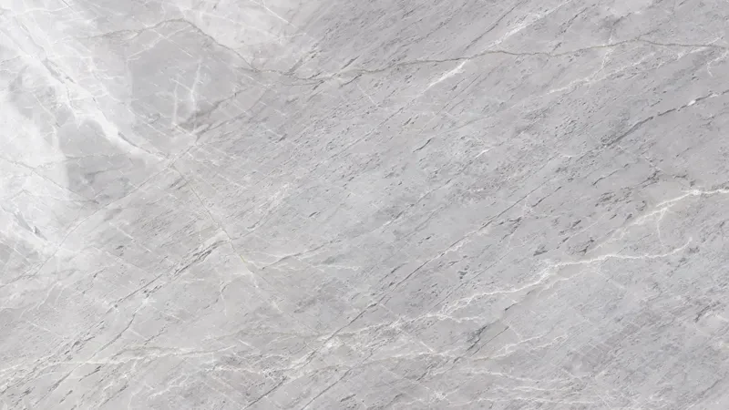 Silver-white marble with fine grey movement and delicate white veins